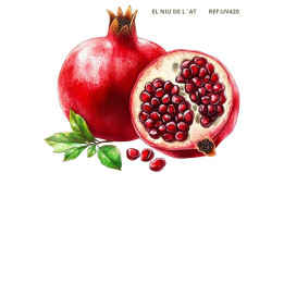 copy of 
